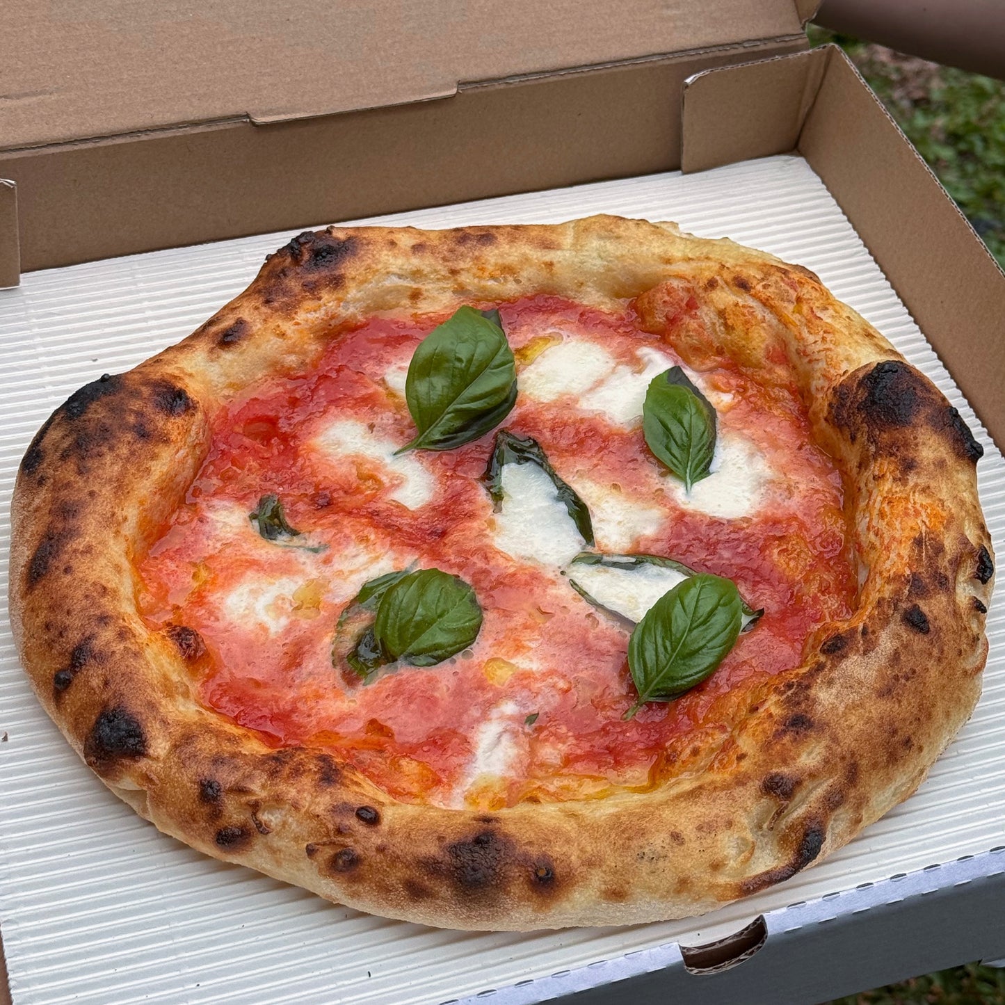 Margherita